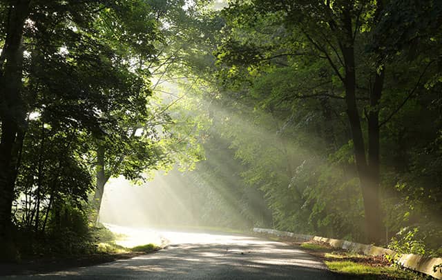 Living with Hope