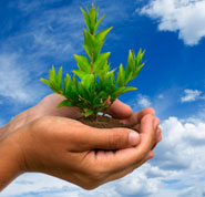 Източникът на променен живот