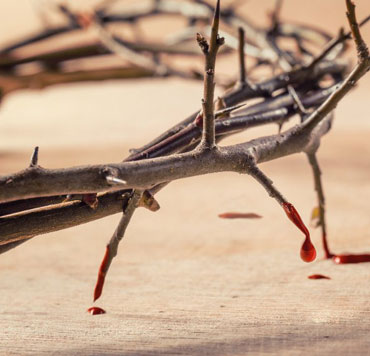 Photo of a crown of thorns, with blood dripping off, to show just one of the physical tortures that Jesus of Nazareth underwent.